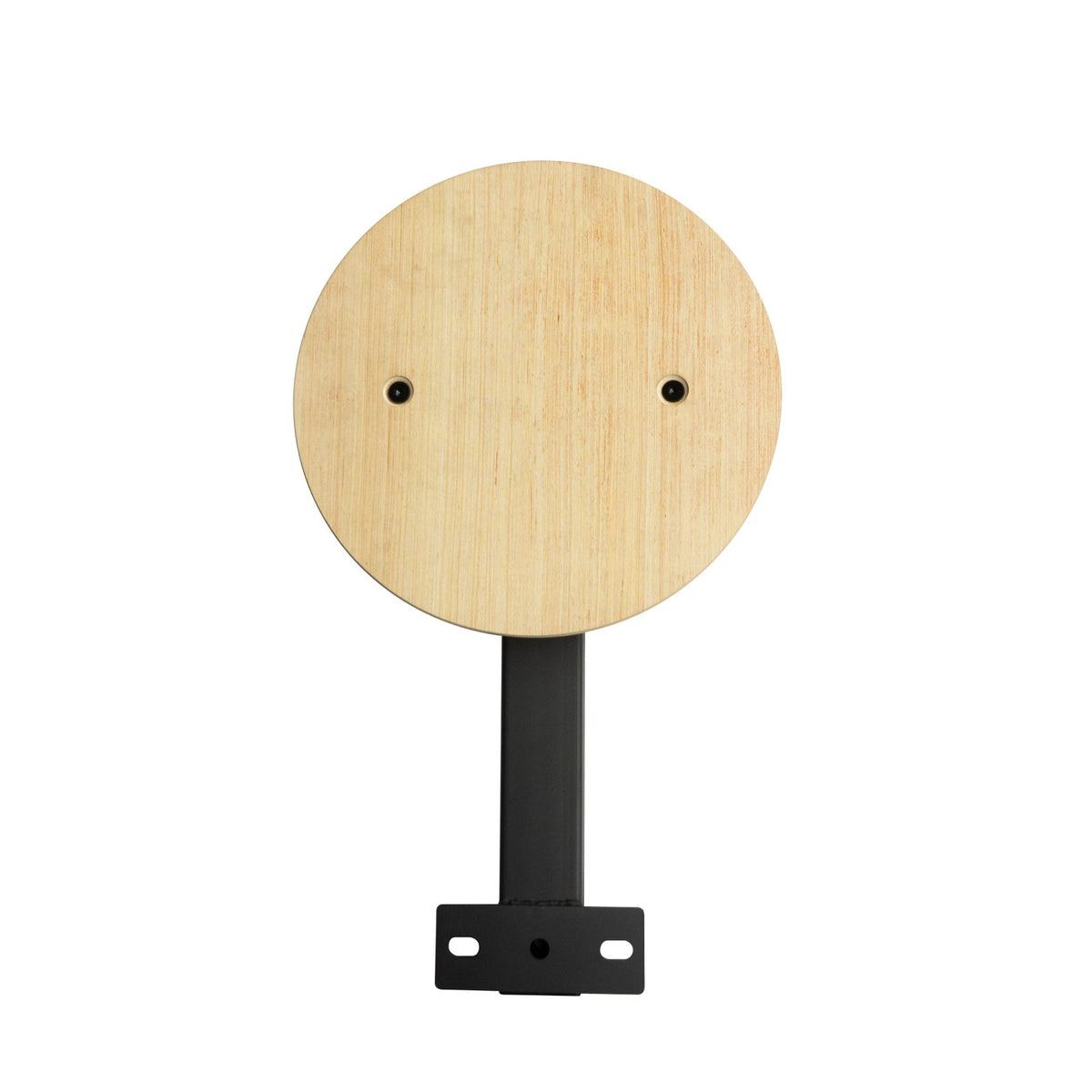 Wallball-Skydeskive